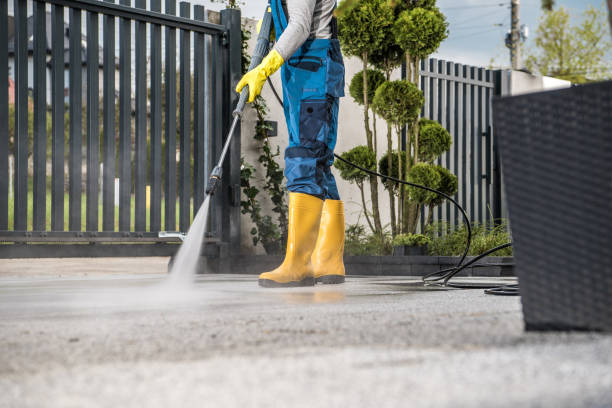 Best Roof Power Washing Services  in Pea Ridge, AR