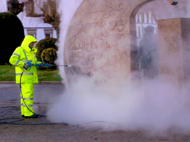 Best Sidewalk Pressure Washing  in Pea Ridge, AR